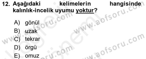Osmanlı Türkçesine Giriş 1 Dersi 2017 - 2018 Yılı (Final) Dönem Sonu Sınav Soruları 12. Soru