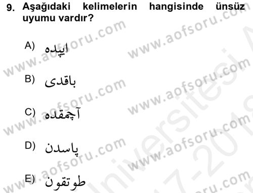 Osmanlı Türkçesine Giriş 1 Dersi 2017 - 2018 Yılı (Final) Dönem Sonu Sınav Soruları 9. Soru