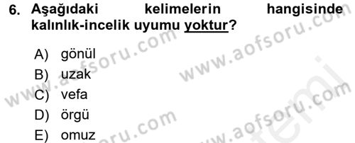 Osmanlı Türkçesine Giriş 1 Dersi 2018 - 2019 Yılı (Final) Dönem Sonu Sınav Soruları 6. Soru
