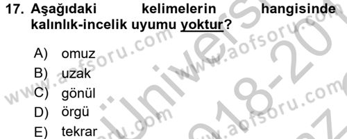 Osmanlı Türkçesine Giriş 1 Dersi 2018 - 2019 Yılı Yaz Okulu Sınav Soruları 17. Soru