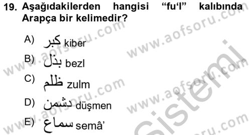 Osmanlı Türkçesine Giriş 1 Dersi 2018 - 2019 Yılı Yaz Okulu Sınav Soruları 19. Soru