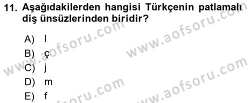 Osmanlı Türkçesine Giriş 1 Dersi 2019 - 2020 Yılı (Vize) Ara Sınav Soruları 11. Soru