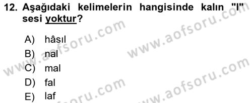 Osmanlı Türkçesine Giriş 1 Dersi 2019 - 2020 Yılı (Vize) Ara Sınav Soruları 12. Soru