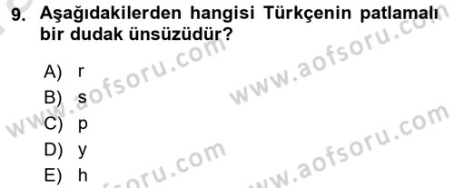 Osmanlı Türkçesine Giriş 1 Dersi 2019 - 2020 Yılı (Vize) Ara Sınav Soruları 9. Soru