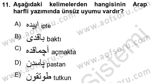 Osmanlı Türkçesine Giriş 1 Dersi 2019 - 2020 Yılı (Final) Dönem Sonu Sınav Soruları 11. Soru