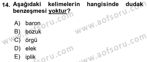Osmanlı Türkçesine Giriş 1 Dersi 2019 - 2020 Yılı (Final) Dönem Sonu Sınav Soruları 14. Soru