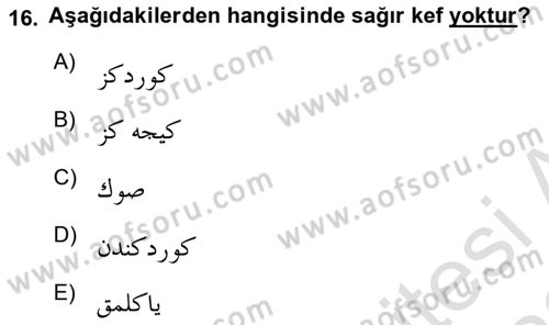Osmanlı Türkçesine Giriş 1 Dersi 2021 - 2022 Yılı (Final) Dönem Sonu Sınav Soruları 16. Soru