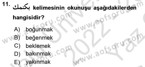 Osmanlı Türkçesine Giriş 1 Dersi 2022 - 2023 Yılı Yaz Okulu Sınav Soruları 11. Soru