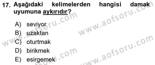 Osmanlı Türkçesine Giriş 1 Dersi 2022 - 2023 Yılı Yaz Okulu Sınav Soruları 17. Soru