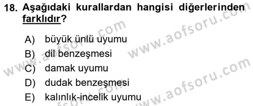 Osmanlı Türkçesine Giriş 1 Dersi 2022 - 2023 Yılı Yaz Okulu Sınav Soruları 18. Soru