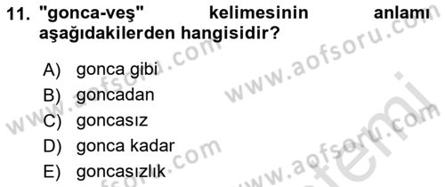 Osmanlı Türkçesine Giriş 1 Dersi 2023 - 2024 Yılı (Final) Dönem Sonu Sınav Soruları 11. Soru