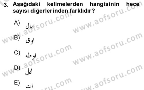 Osmanlı Türkçesine Giriş 1 Dersi 2023 - 2024 Yılı (Final) Dönem Sonu Sınav Soruları 3. Soru