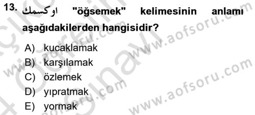 Osmanlı Türkçesine Giriş 1 Dersi 2023 - 2024 Yılı Yaz Okulu Sınav Soruları 13. Soru