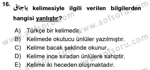 Osmanlı Türkçesine Giriş 1 Dersi 2023 - 2024 Yılı Yaz Okulu Sınav Soruları 16. Soru