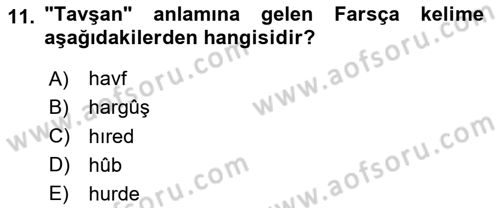 Osmanlı Türkçesine Giriş 1 Dersi 2024 - 2025 Yılı (Vize) Ara Sınav Soruları 11. Soru