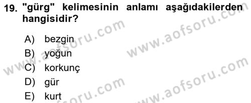 Osmanlı Türkçesine Giriş 1 Dersi 2024 - 2025 Yılı (Vize) Ara Sınav Soruları 19. Soru