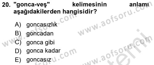 Osmanlı Türkçesine Giriş 1 Dersi 2024 - 2025 Yılı (Vize) Ara Sınav Soruları 20. Soru