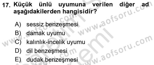 Osmanlı Türkçesine Giriş 1 Dersi 2024 - 2025 Yılı (Final) Dönem Sonu Sınav Soruları 17. Soru
