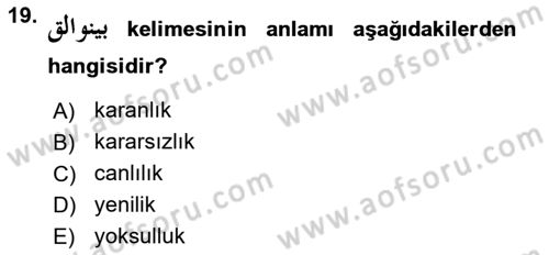 Osmanlı Türkçesine Giriş 1 Dersi 2024 - 2025 Yılı (Final) Dönem Sonu Sınav Soruları 19. Soru