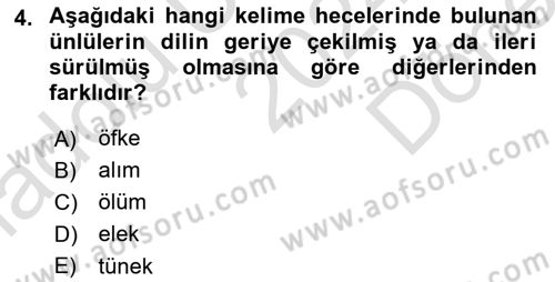 Osmanlı Türkçesine Giriş 1 Dersi 2024 - 2025 Yılı (Final) Dönem Sonu Sınav Soruları 4. Soru