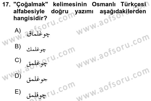 Osmanlı Türkçesine Giriş 1 Dersi 2024 - 2025 Yılı Yaz Okulu Sınav Soruları 17. Soru