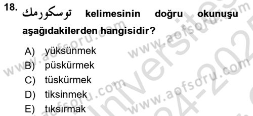 Osmanlı Türkçesine Giriş 1 Dersi 2024 - 2025 Yılı Yaz Okulu Sınav Soruları 18. Soru