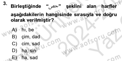 Osmanlı Türkçesine Giriş 1 Dersi 2024 - 2025 Yılı Yaz Okulu Sınav Soruları 3. Soru
