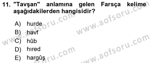 Osmanlı Türkçesine Giriş 1 Dersi 2025 - 2026 Yılı (Vize) Ara Sınav Soruları 11. Soru