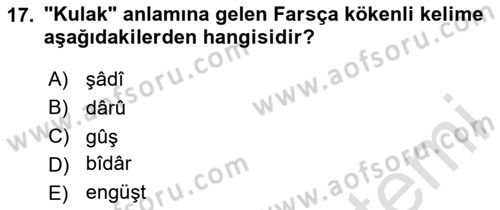 Osmanlı Türkçesine Giriş 1 Dersi 2025 - 2026 Yılı (Vize) Ara Sınav Soruları 17. Soru