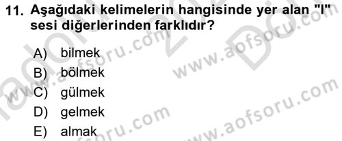 Osmanlı Türkçesine Giriş 1 Dersi 2025 - 2026 Yılı (Final) Dönem Sonu Sınav Soruları 11. Soru