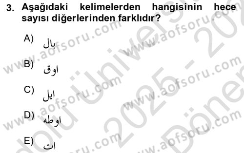 Osmanlı Türkçesine Giriş 1 Dersi 2025 - 2026 Yılı (Final) Dönem Sonu Sınav Soruları 3. Soru