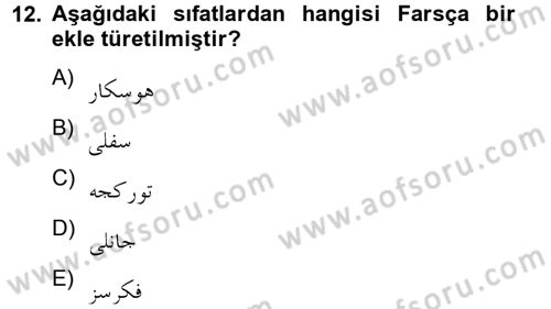 Osmanlı Türkçesine Giriş 2 Dersi 2012 - 2013 Yılı (Vize) Ara Sınav Soruları 12. Soru