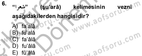 Osmanlı Türkçesine Giriş 2 Dersi 2012 - 2013 Yılı (Vize) Ara Sınav Soruları 6. Soru