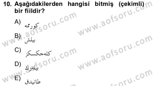 Osmanlı Türkçesine Giriş 2 Dersi 2012 - 2013 Yılı (Final) Dönem Sonu Sınav Soruları 10. Soru