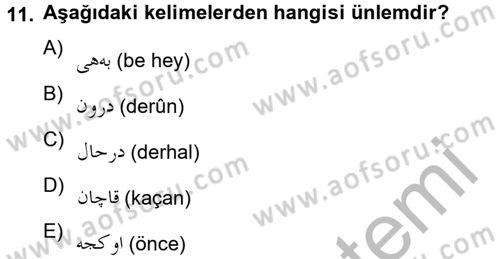Osmanlı Türkçesine Giriş 2 Dersi 2012 - 2013 Yılı (Final) Dönem Sonu Sınav Soruları 11. Soru