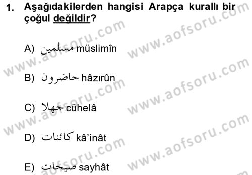 Osmanlı Türkçesine Giriş 2 Dersi 2013 - 2014 Yılı (Final) Dönem Sonu Sınav Soruları 1. Soru