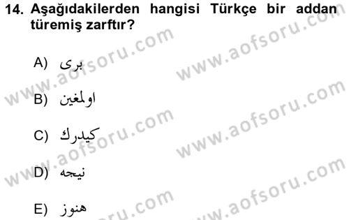 Osmanlı Türkçesine Giriş 2 Dersi 2016 - 2017 Yılı (Vize) Ara Sınav Soruları 14. Soru