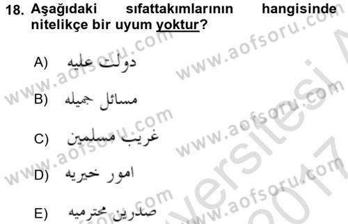 Osmanlı Türkçesine Giriş 2 Dersi 2016 - 2017 Yılı (Final) Dönem Sonu Sınav Soruları 18. Soru