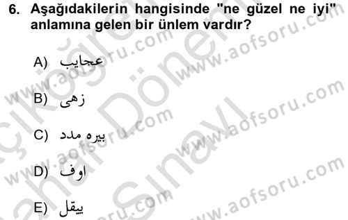 Osmanlı Türkçesine Giriş 2 Dersi 2016 - 2017 Yılı (Final) Dönem Sonu Sınav Soruları 6. Soru