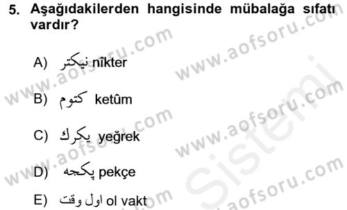 Osmanlı Türkçesine Giriş 2 Dersi 2017 - 2018 Yılı (Vize) Ara Sınav Soruları 5. Soru