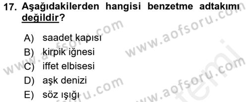 Osmanlı Türkçesine Giriş 2 Dersi 2017 - 2018 Yılı (Final) Dönem Sonu Sınav Soruları 17. Soru