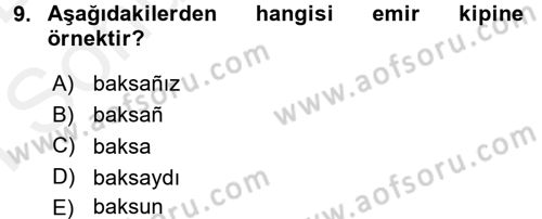 Osmanlı Türkçesine Giriş 2 Dersi 2017 - 2018 Yılı (Final) Dönem Sonu Sınav Soruları 9. Soru