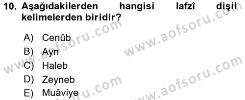 Osmanlı Türkçesine Giriş 2 Dersi 2018 - 2019 Yılı (Vize) Ara Sınav Soruları 10. Soru