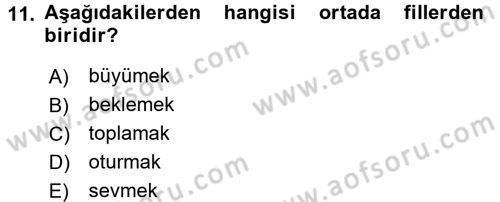 Osmanlı Türkçesine Giriş 2 Dersi 2018 - 2019 Yılı (Vize) Ara Sınav Soruları 11. Soru
