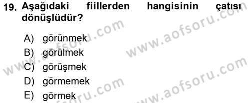 Osmanlı Türkçesine Giriş 2 Dersi 2018 - 2019 Yılı (Vize) Ara Sınav Soruları 19. Soru