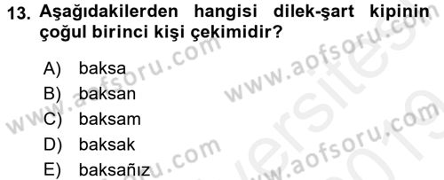 Osmanlı Türkçesine Giriş 2 Dersi 2018 - 2019 Yılı (Final) Dönem Sonu Sınav Soruları 13. Soru