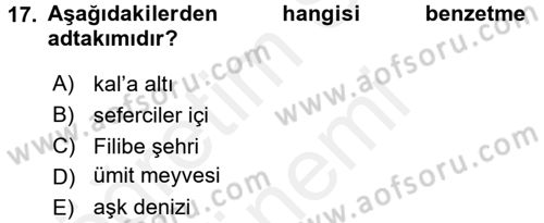 Osmanlı Türkçesine Giriş 2 Dersi 2018 - 2019 Yılı (Final) Dönem Sonu Sınav Soruları 17. Soru