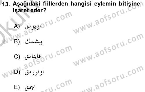 Osmanlı Türkçesine Giriş 2 Dersi 2018 - 2019 Yılı Yaz Okulu Sınav Soruları 13. Soru