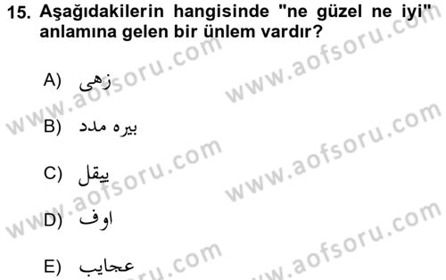 Osmanlı Türkçesine Giriş 2 Dersi 2018 - 2019 Yılı Yaz Okulu Sınav Soruları 15. Soru