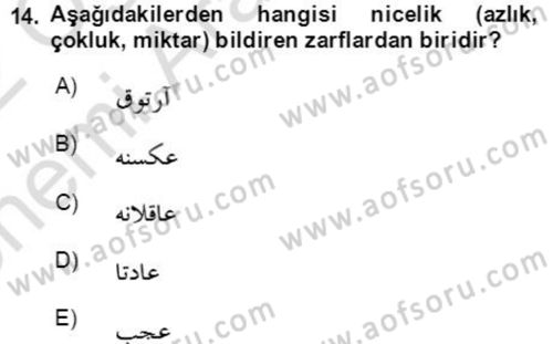 Osmanlı Türkçesine Giriş 2 Dersi 2021 - 2022 Yılı (Vize) Ara Sınav Soruları 14. Soru